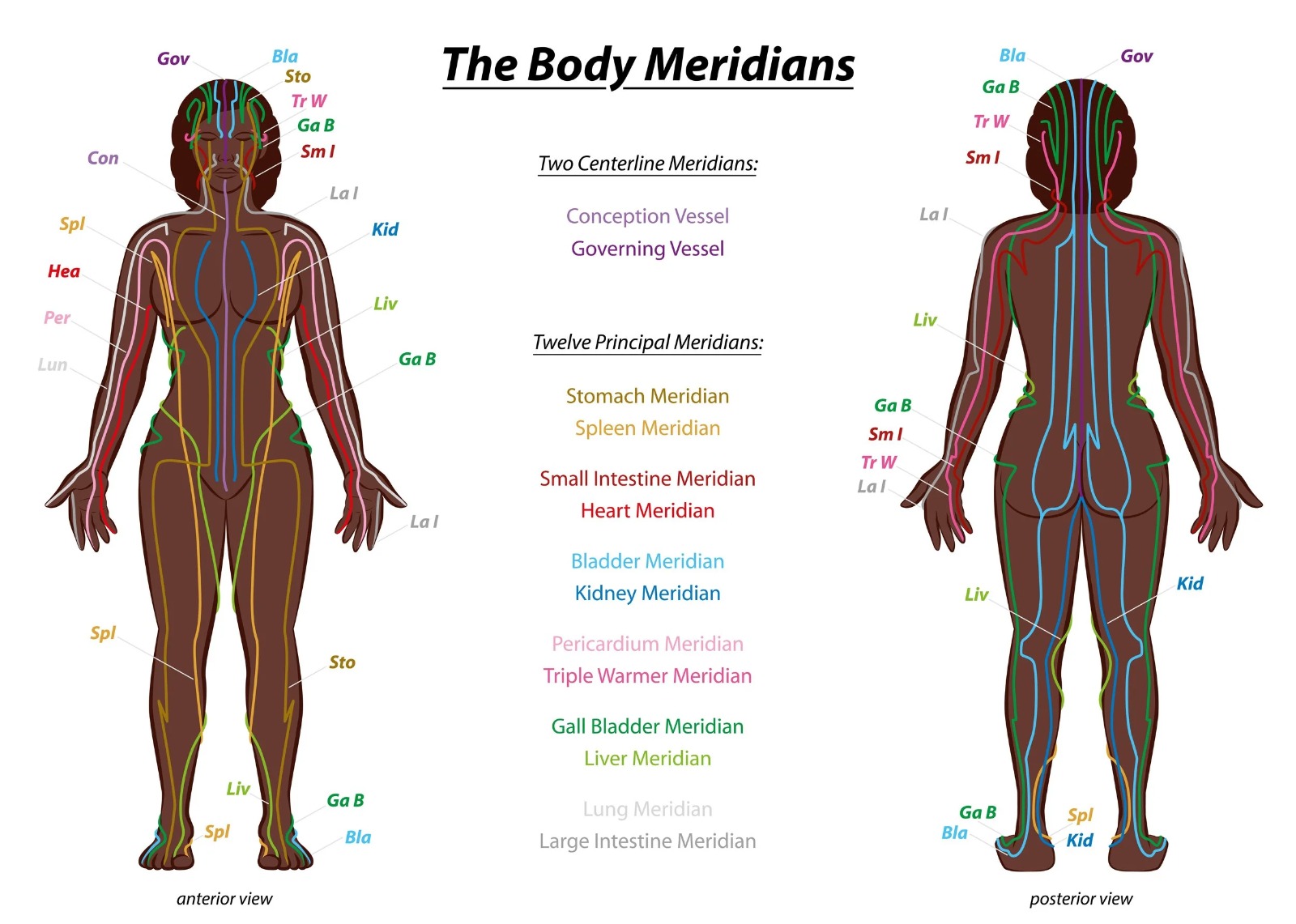 Meridian acupuncture image 1