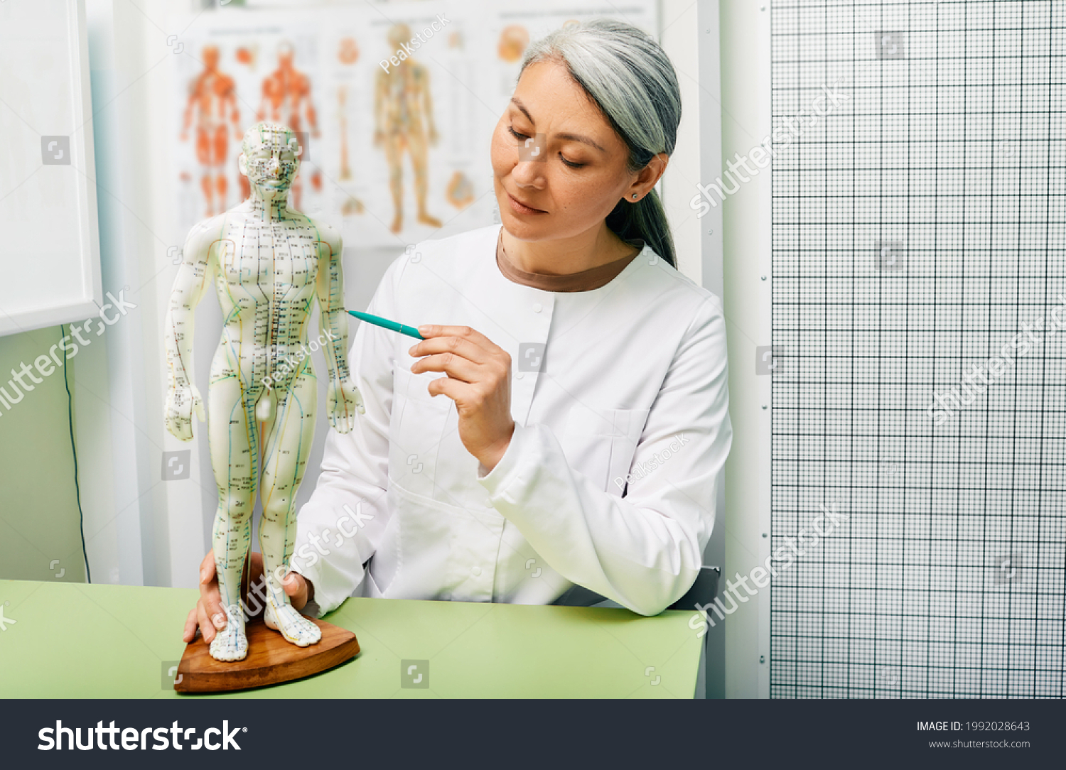 Meridian acupuncture image 3